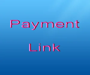 Image of Payment Link