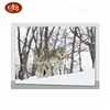 hot selling fibers painting with wolf in winter scenery