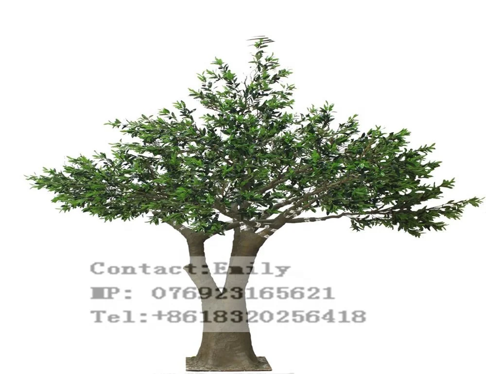 1 8m 6 Ft Tall Wholesale Artificial Natural Art Painting Olive Crescent Moon Shape Trees With Fruit E06 19x02 Buy Artificial Olive Tree Outdoor Artificial Trees Artificial Magnolia Trees Product On Alibaba Com