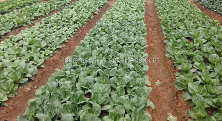 manual seeder