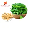 Red Maple Leaf production vitamins and food supplements bulk pack folic acid tablets for women