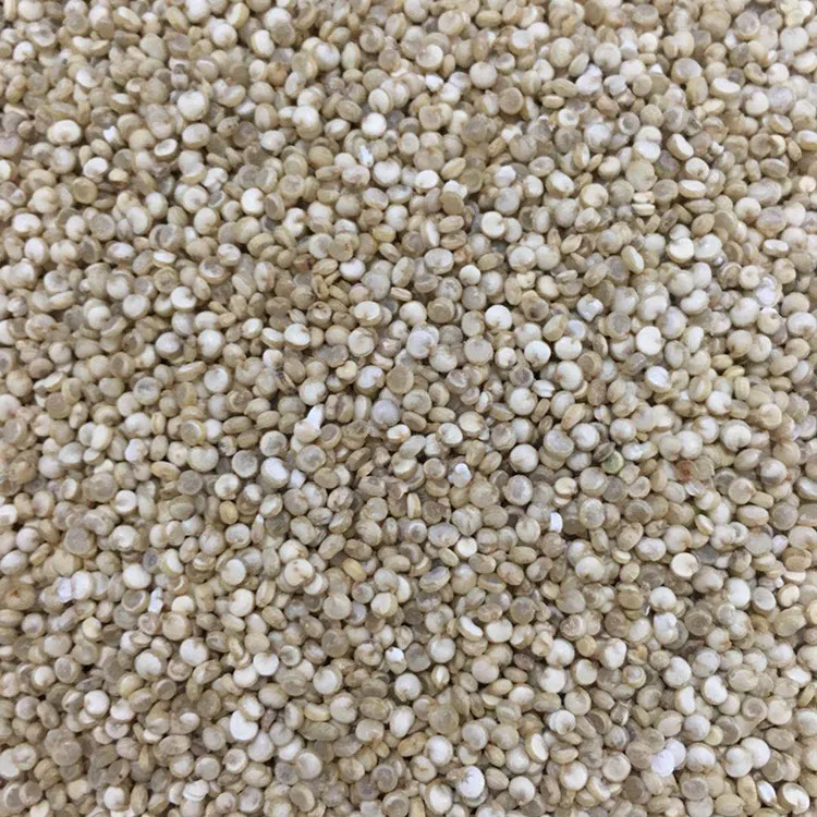 quinoa_grain.jpg
