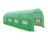 

low cost greenhouse garden greenhouse UV protective greenhouse tunnel for sale