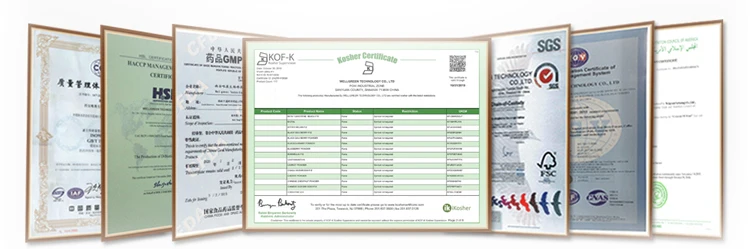 07our certifications