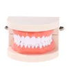 Wheat flower wet model trimmer supply wax dental modelling