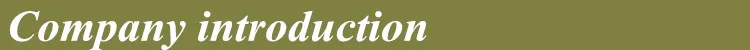Company introduction,