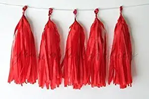 tissue tassel banner