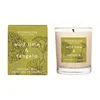 Pine Scent Scented 100% Soy Wax Candles Pack Private Label Custom Samples