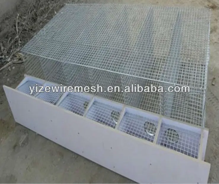 Galvanized Auto Watering System Mink Cage For Mink Farm Buy Farm Mink