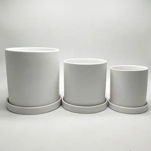 Image of Ceramic Matt Surface Cylinder Succulent Pots For Indoor Tabletop Stock Planters