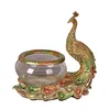 Shenzhen supplies backgrounds aquarium fish for sale