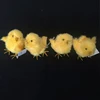 Easter decorations vivid easter chicken decoration easter chick