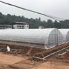 New design tunnel net use greenhouse film with high quality