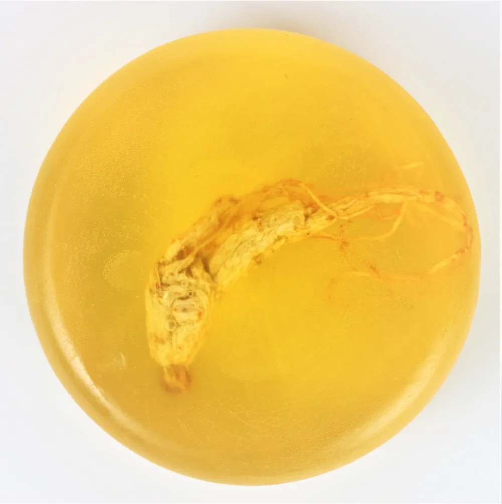 
Hot selling factory directly sale soap OEM/ODM 100% Natural Nourishes handwork Ginseng Essential Oil Handmade Soap 