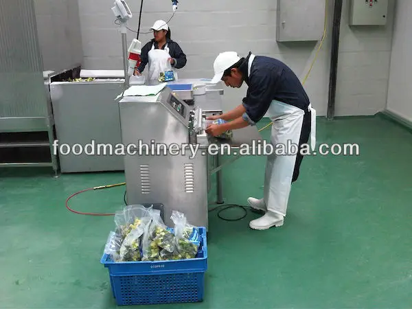 SF100+packing machine.jpg