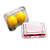 300g clear PET food plastic container / plastic fruit container / plastic clamshell packaging
