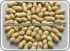 Whole Ground nut Exporter