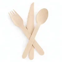 

Biodegradable bulk birch wood spoon/forks/knives disposable wooden cutlery