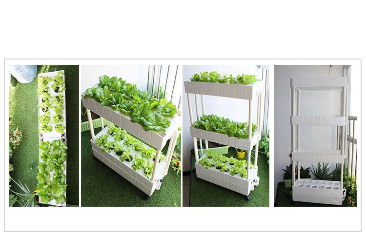 hydroponics 8.jpg