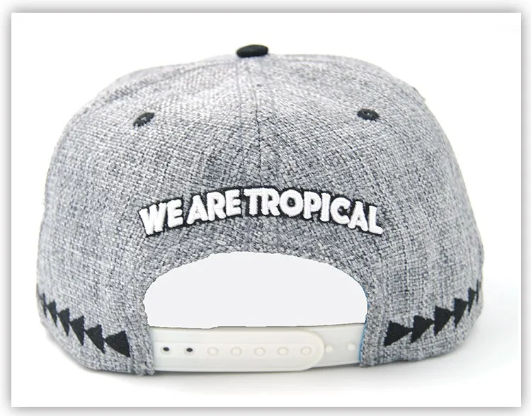 Wholesale Classic Style Korea Snapback Hats Gray Hemp Embroidery Flat