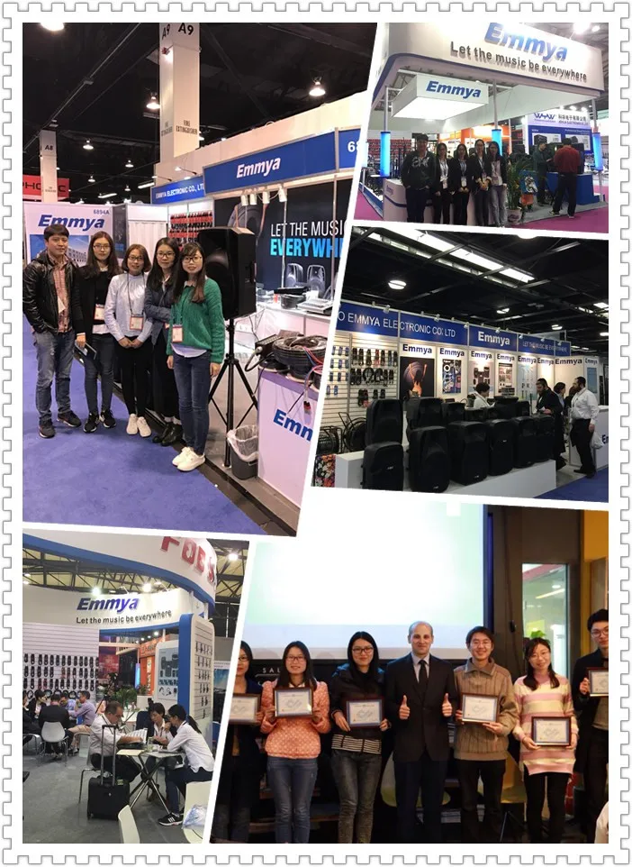 ibastek bluetooth speaker 12 inch