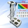 New Arrival Professional inbody body composition analyzer