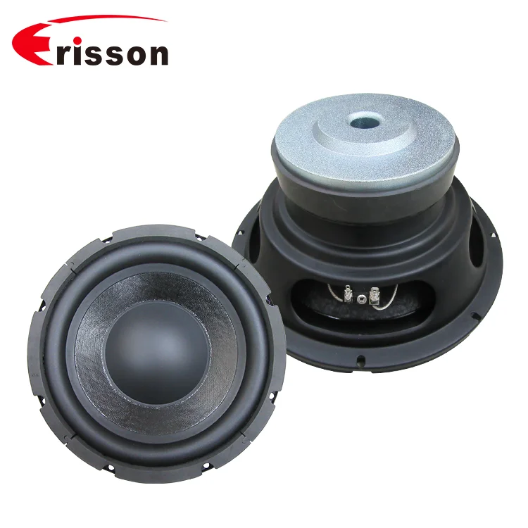 10 inch 150 watt subwoofer