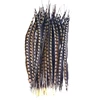 wholesale natural 50-55cm lady amherst pheasant tail side tail for party decoration