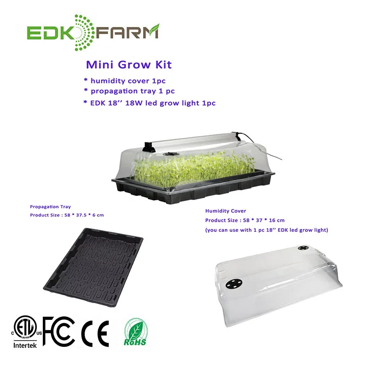 

small greenhouses home use system dutch bucket hydroponic fodder mats equipment kits microgreen growing tray, Clear+black