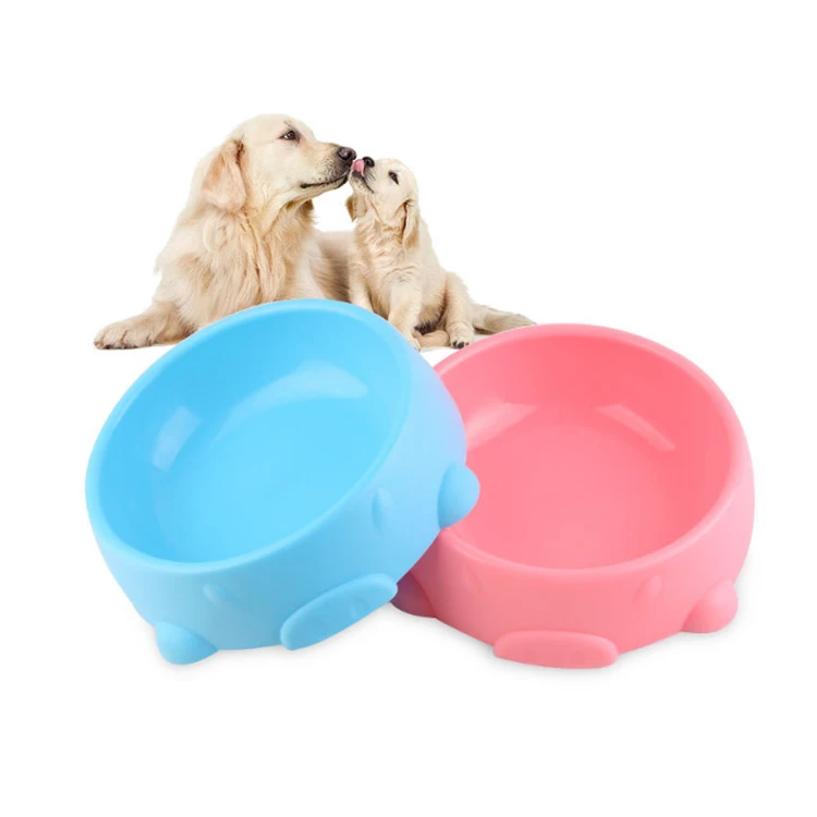 personalized dog dishes