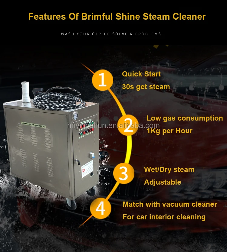 Lpg Steam Car Wash Machine With 2 Guns For Mobile Outdoor Car Wash