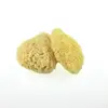 Sponge Material and Adults Age Group Natural sea sponge