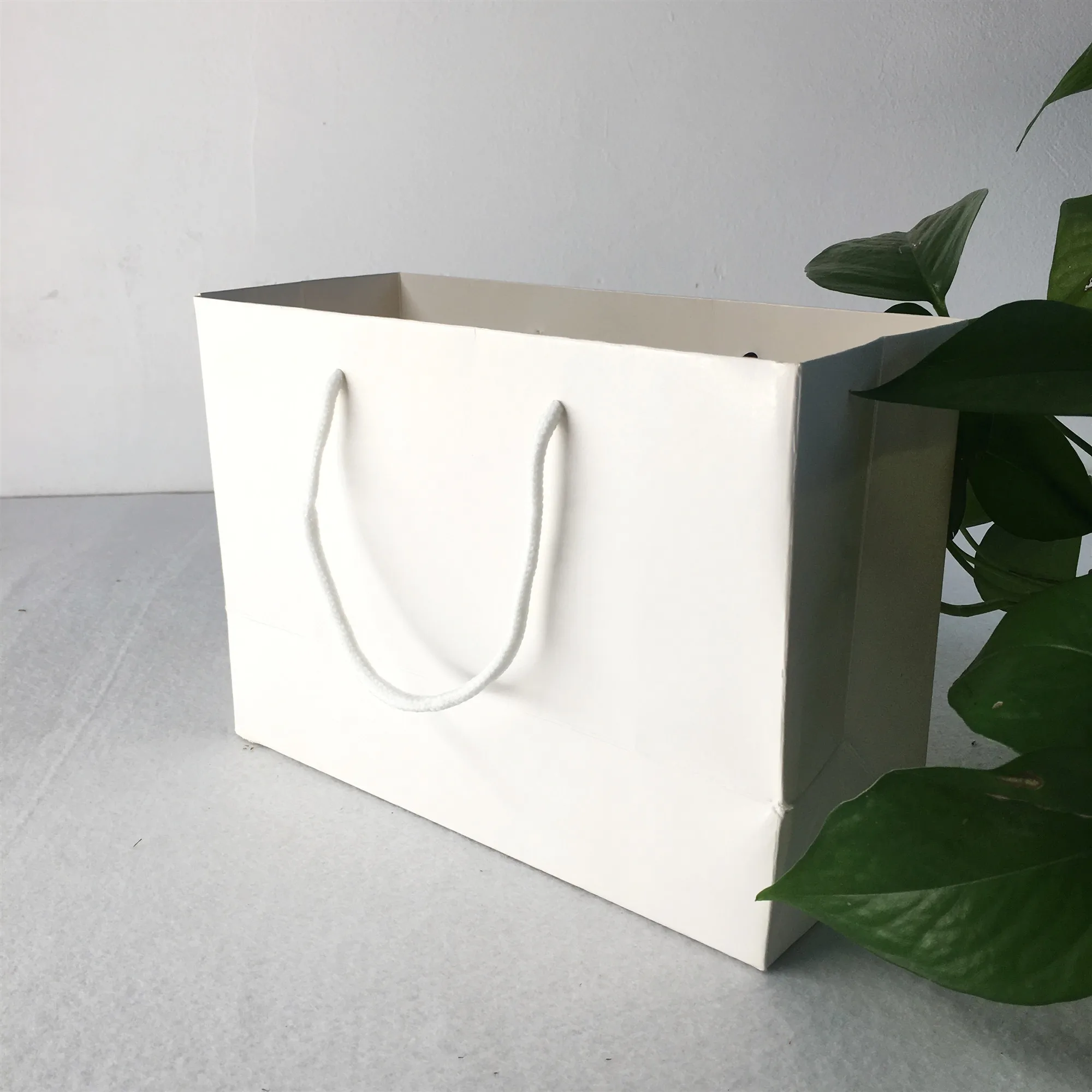 

Wholesale Printing Logo Horizontal Shopping Paper Bag With Cotton Rope Handles