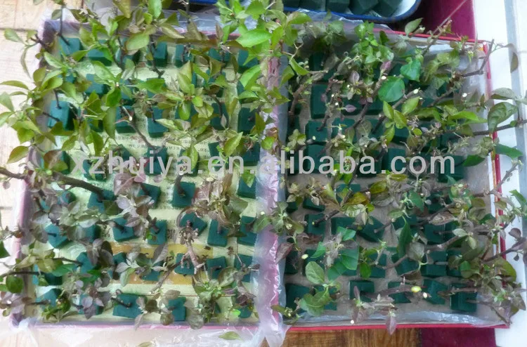 Hydroponics Farming Foam Soilless Culture Vegetable Seeds Tray Grow Sponge