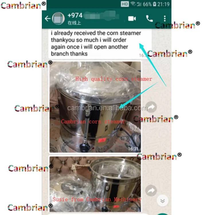 Electric 48l Big Stainless Steel Sweet Corn Steamer For Star Hotel With