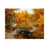 Hot Selling Forest in late autumn grove gold Decorative indoor hanging Painting by numbers Diy Digital Oil Painting with Frame