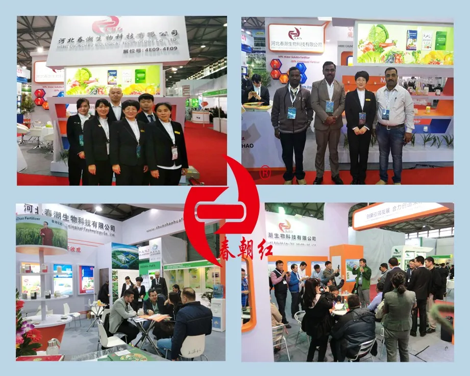 NPK 12-7-23+3Mgo+3S+TE.jpg