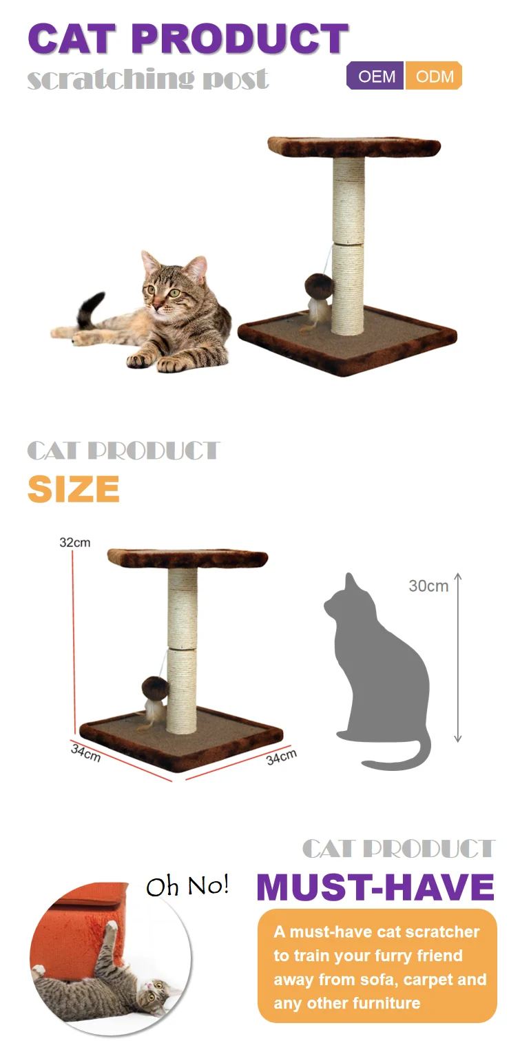 Scratch Post For Kitten