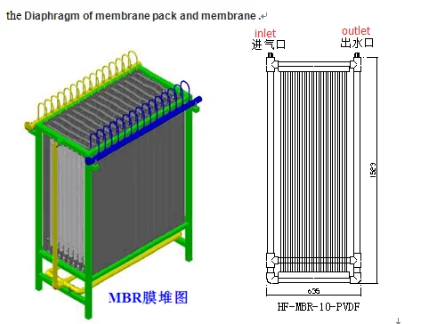 paste-pic-dp_uuid_95brq