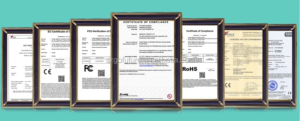 self-Balancing Electric scooter. Speed escooter.Escooter.Electric Scooter.Ebike.Etrike.Power bicycle.booster bike. moped bike.jpg