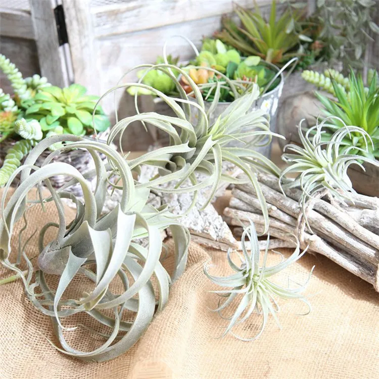 

V-3131 Factory Direct Artificial Flower Silk Air Pineapple Grass For Plant Wall Decoration, Gray green