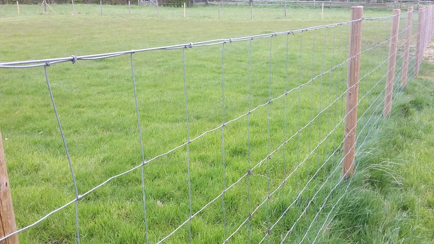 C8/80/15 GREEN STOCK FENCING 50M Galvanised Wire 50 Metres Sheep Fence Net Mesh 