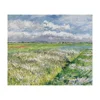 Gustave Caillebotte Giclee Canvas Print Paintings Poster Reproduction(The Fields A Plain In Gennevilliers Study In Yellow And)