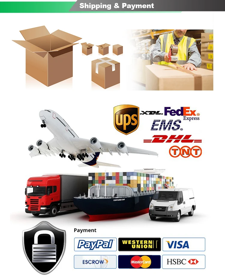 Shipping & Payment