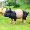 /product-detail/polyresin-cute-life-outdoor-garden-statues-pig-60012165957.html