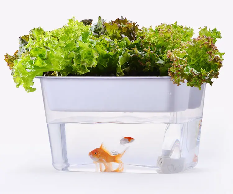 

Desktop Ecological Self-circulation Aquaponics Fish Tank Indoor Aquarium Garden Raising Vegetables and Fish