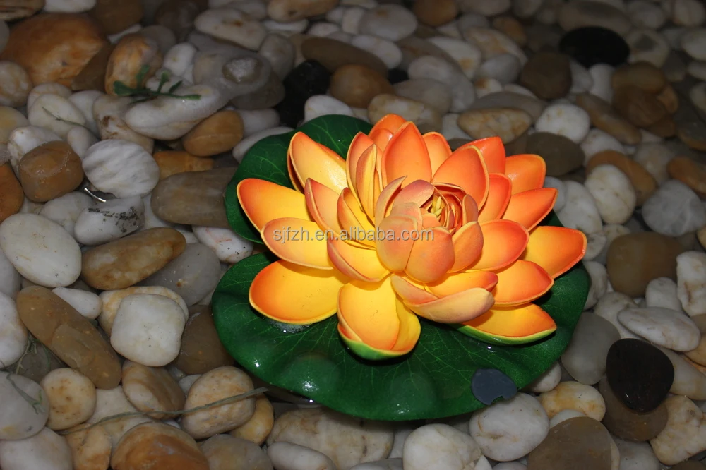 russian по низкой цене! russian с фотографиями, картинки на белый