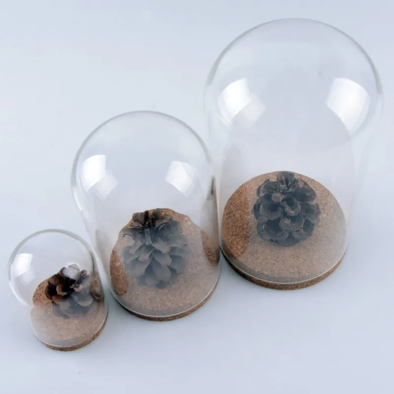 Round Glass Dome With Cork Base Buy Round Glass Dome,Hight