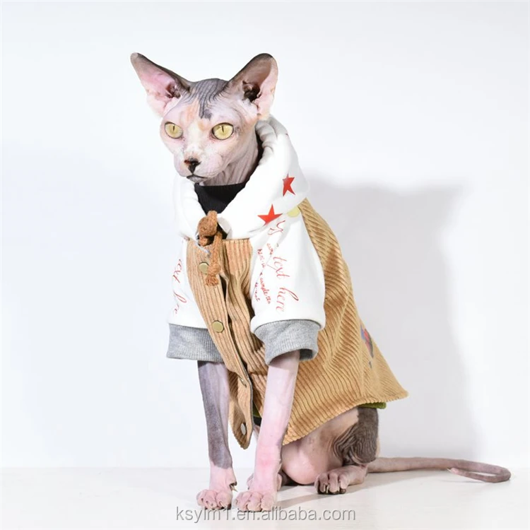 sphynx cat hoodie