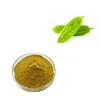 100% Pure Natural Bitter Melon Seeds Extract Powder for Health